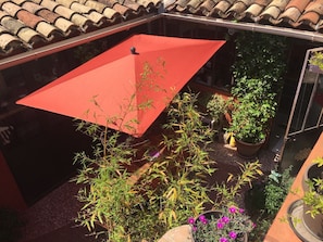 Property grounds - Beautiful village house in Languedoc with patio  (Saint-André-de-Sangonis)
