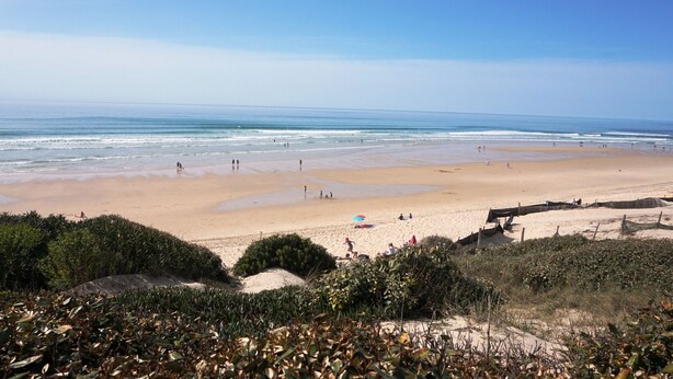 Ein Strand mit sandigem Ufer, einigen Sonnenschirmen und etwas Vegetation im Vordergrund.