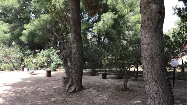 Garden - Villa Don Mario (San Vito Lo Capo)