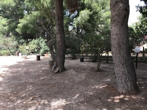 Taman