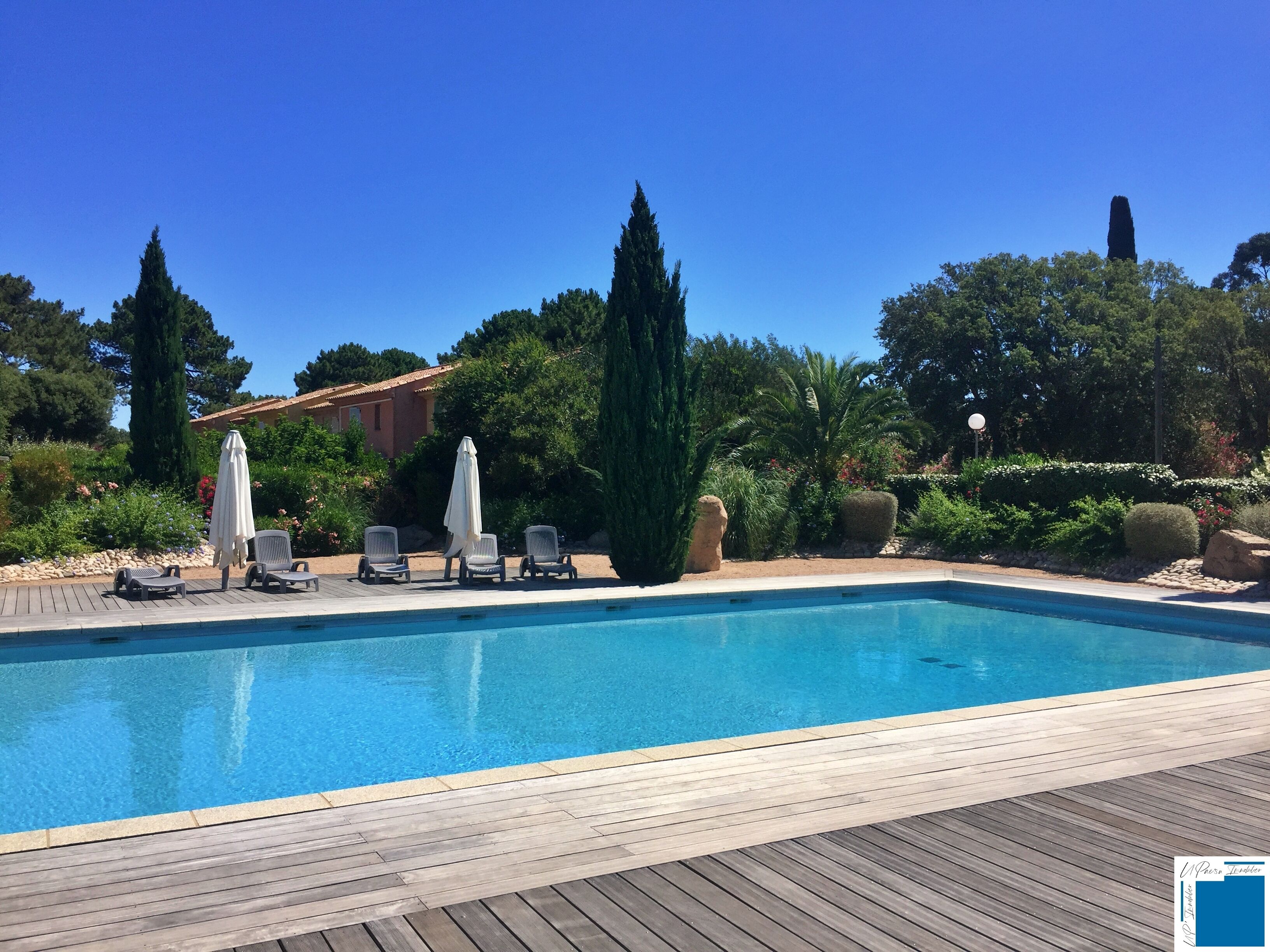A rectangular swimming pool with a wooden deck, surrounded by greenery and a few lounge chairs with umbrellas.