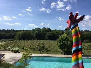 Seasonal outdoor pool, pool umbrellas, pool loungers