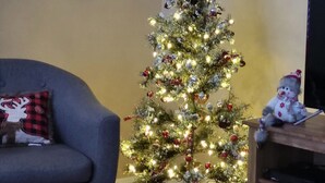 Una sala de estar con un árbol de Navidad decorado, un sillón gris, una manta roja y una estantería.