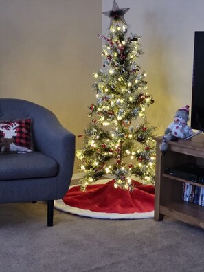 TV, DVD player, books