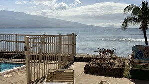 A poolside area with a view of the ocean, a palm tree, and a chair with a floral cover.