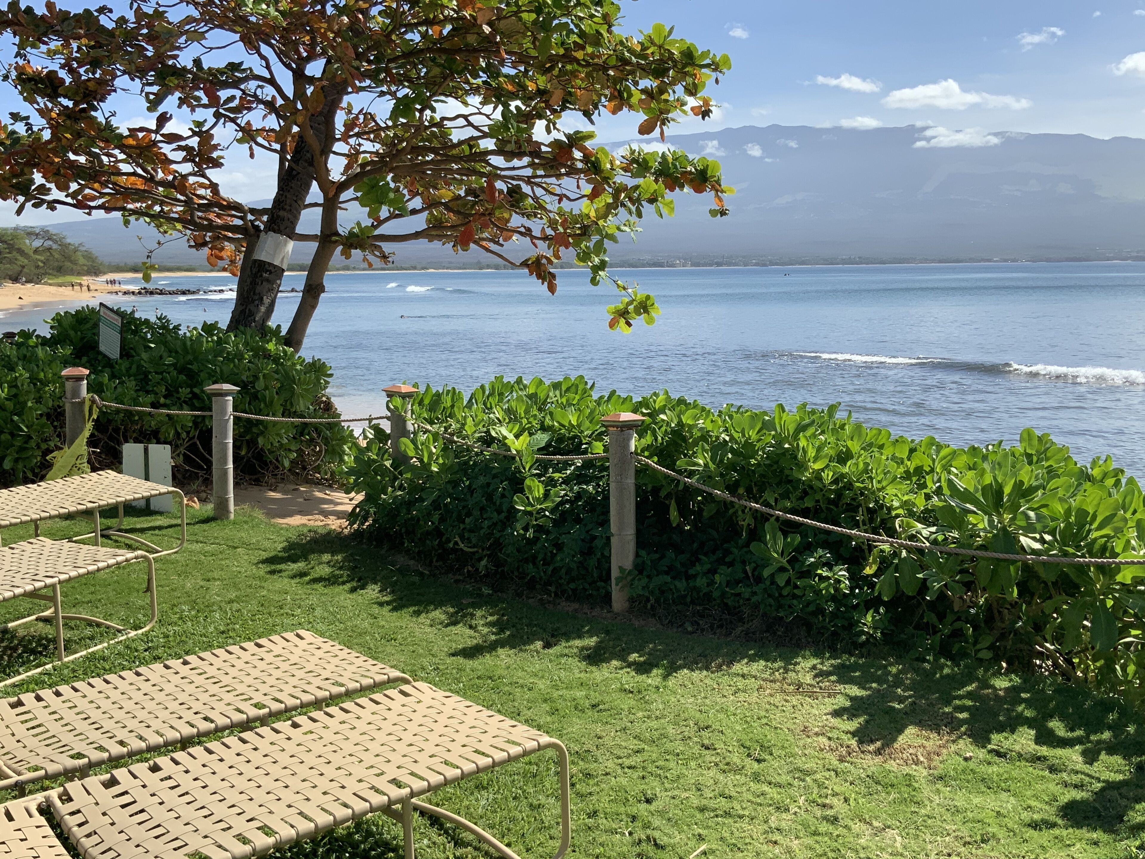A seaside view with a grassy area, metal chairs, and a rope barrier.