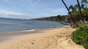 A sandy beach with footprints, palm trees, and a view of the ocean and distant buildings.