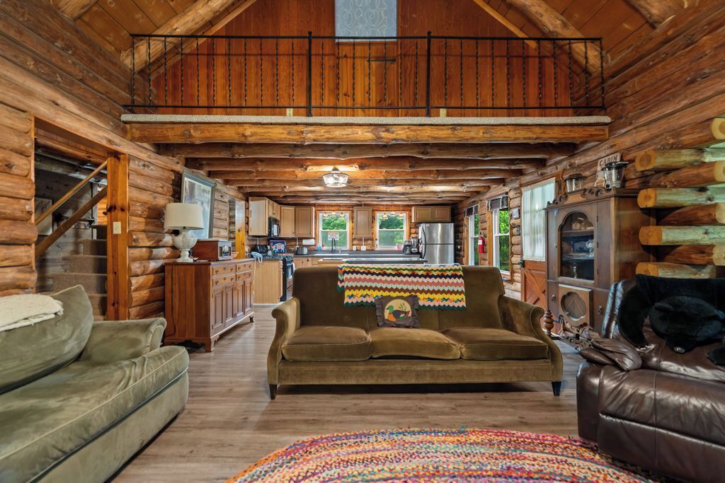 TV connectée, cheminée, lecteur de DVD, livres