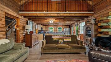 Smart TV, fireplace, DVD player, books