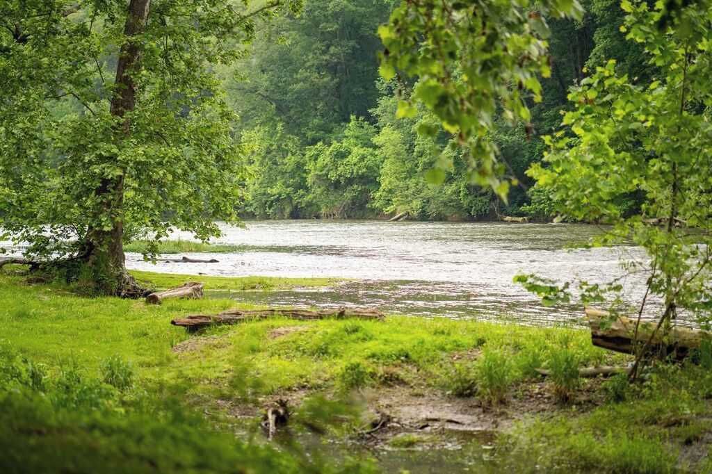 Une rivière bordée d’une végétation luxuriante et d’arbres.