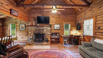 Smart TV, fireplace, DVD player, books