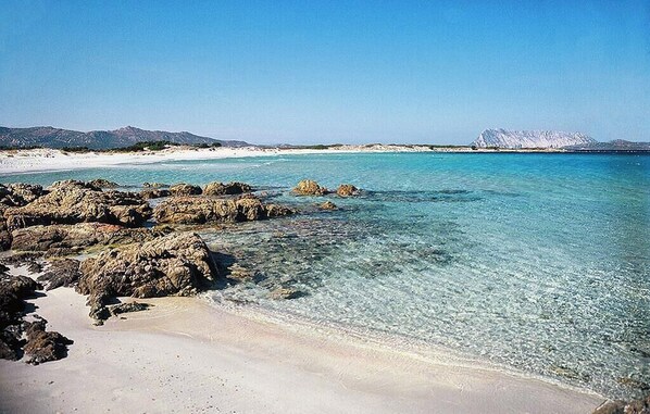 Beach - Villa in residence with garden and private parking space communal pool. (San Teodoro)