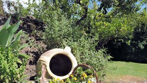 Twee rieten manden gevuld met bloemen staan op een onverharde pad, met een grote keramieken pot op de achtergrond.