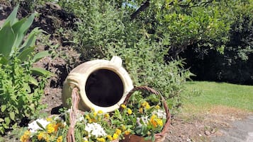 Overnatningsstedets område