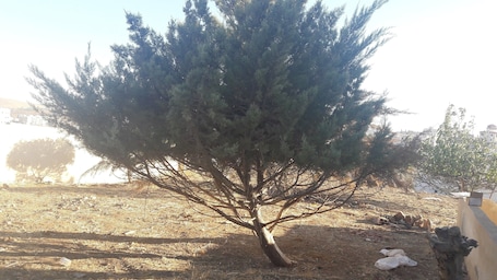 Family Villa | View from room