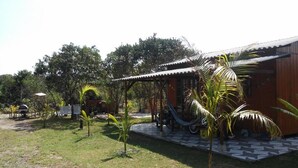 A rustic wooden building with a tiled patio, surrounded by palm trees and a hammock.