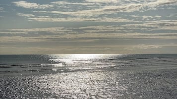 Ubicación a pie de playa y tumbonas