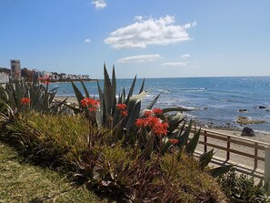 Accommodatie ligt op het strand