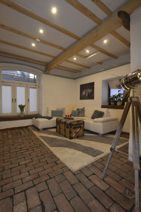 Smart TV, fireplace, books