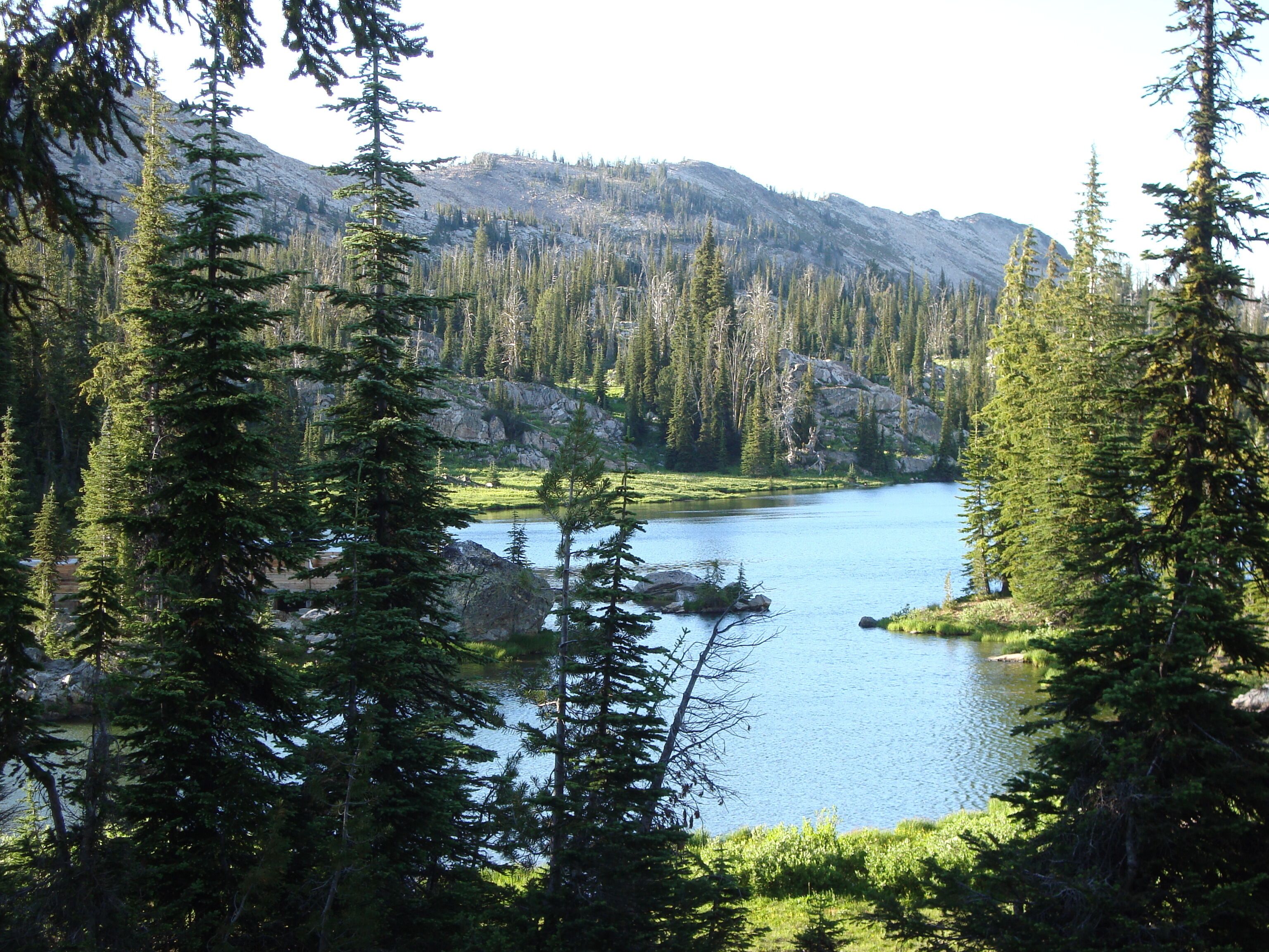 1 Br Cabin Vacation Rental In Elk City, Idaho Vrbo Property 1896404