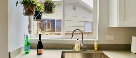 A kitchen with white cabinets, a stainless steel dishwasher, a window with hanging plants, and a view of a building outside.