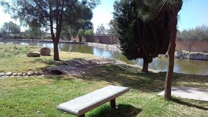 A park with a stone bench, a pond, and trees. - 15  cabins in and Exclusive and private area inside the  Valladolid Acuatic Park (Aguascalientes)