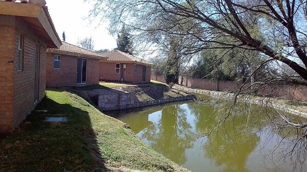 A brick building with a tiled roof, a small pond, and a tree in the background.