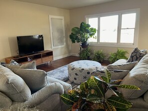 TV, books