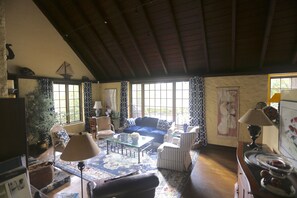 TV connectée, cheminée, livres