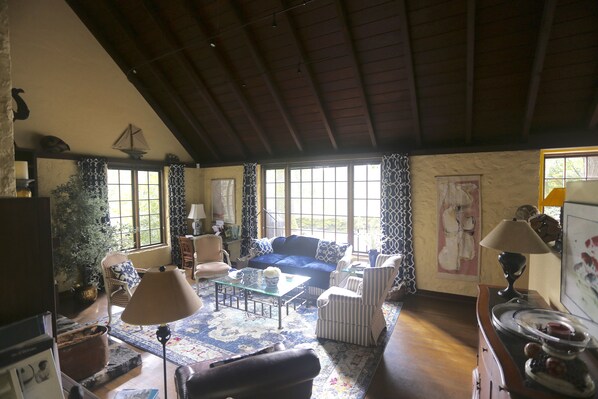 Smart TV, fireplace, books