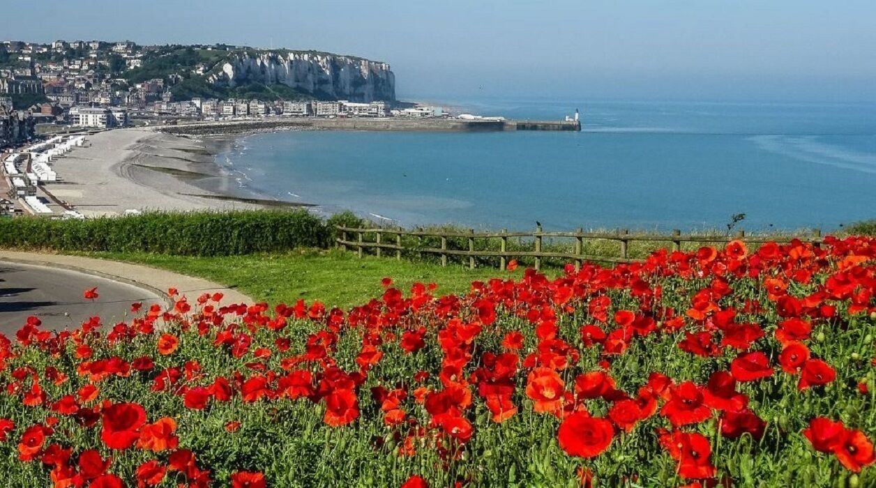 On the beach, sun loungers