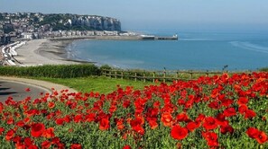 A coastal landscape with a field of red poppies in the foreground, a beach, and a cliffside town in the background.