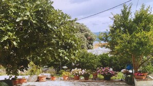 Garden - Apartments Viktorija (Supetar)