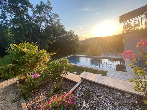 Una piscina rodeada de exuberante follaje y plantas en flor, con vistas a la puesta de sol.