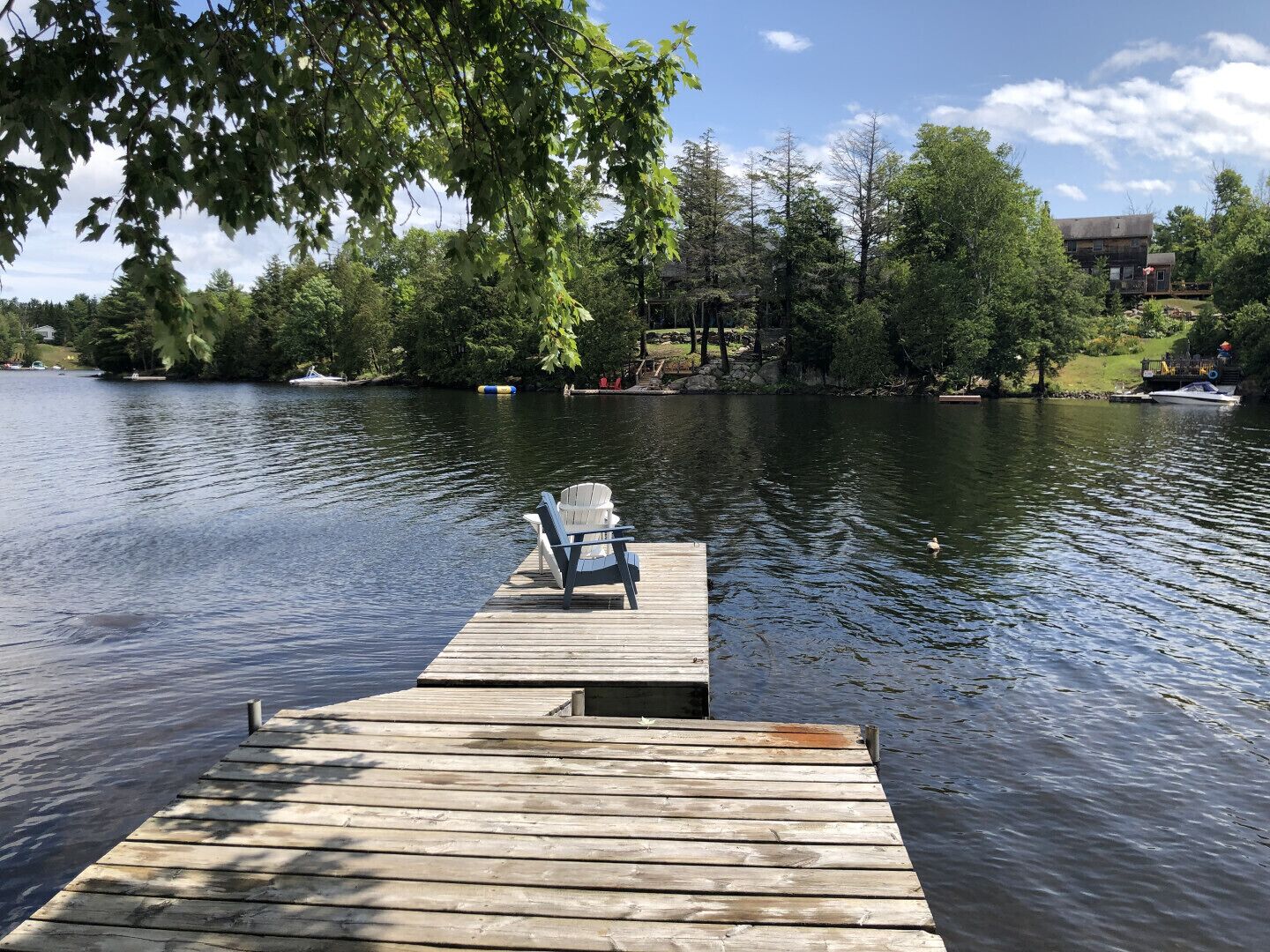 Une jetée en bois s’étendant sur un lac paisible, entourée d’arbres et d’un bâtiment situé au loin.