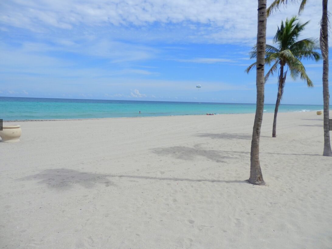 A beach with white sand, palm trees, and a clear blue sky.
