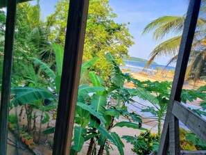 View from property - Scorpion Hill Lodge - Hostel (Busua)