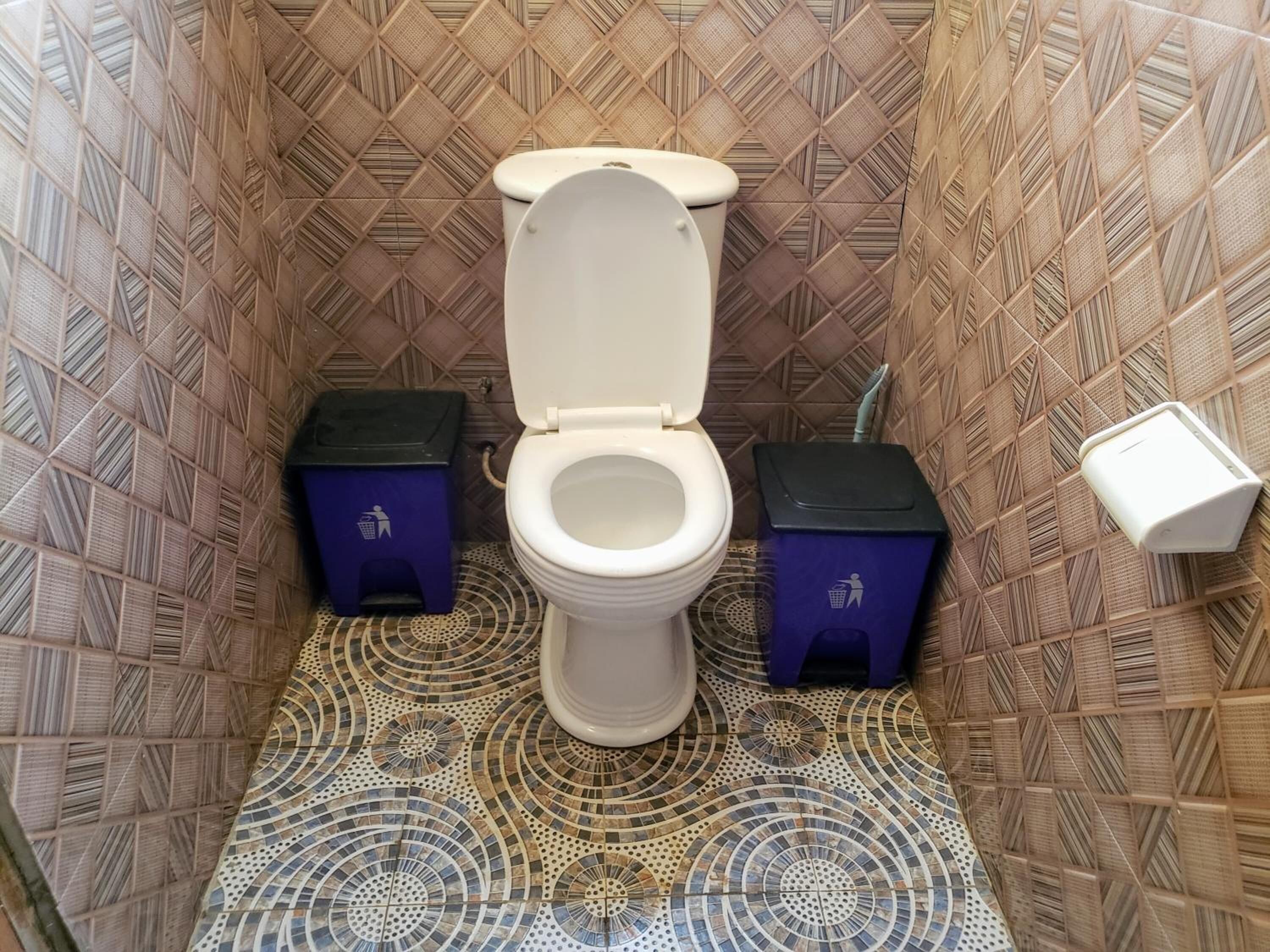 A bathroom with a patterned tile floor, a white toilet, and two trash bins.