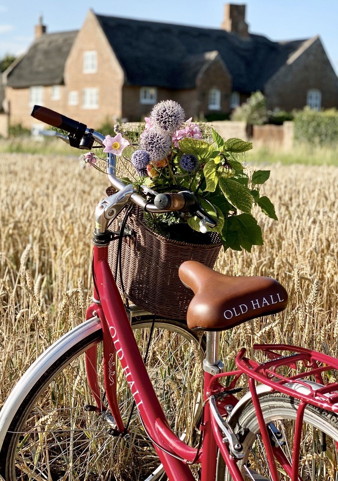 A red bicycle with a wicker basket containing flowers and a brown seat labeled "OLD HALL" in a field with a house in the background.