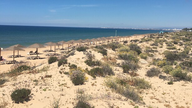 A beach with sun loungers and umbrellas, a clear sky, and a sign for Parque Natural. - House - Holiday Home (Olhão)