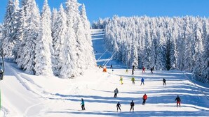 Una pista de esquí con esquiadores y snowboarders, rodeada de árboles cubiertos de nieve.