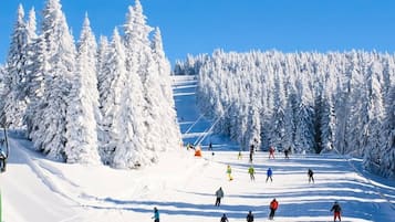 Wintersport/Ski