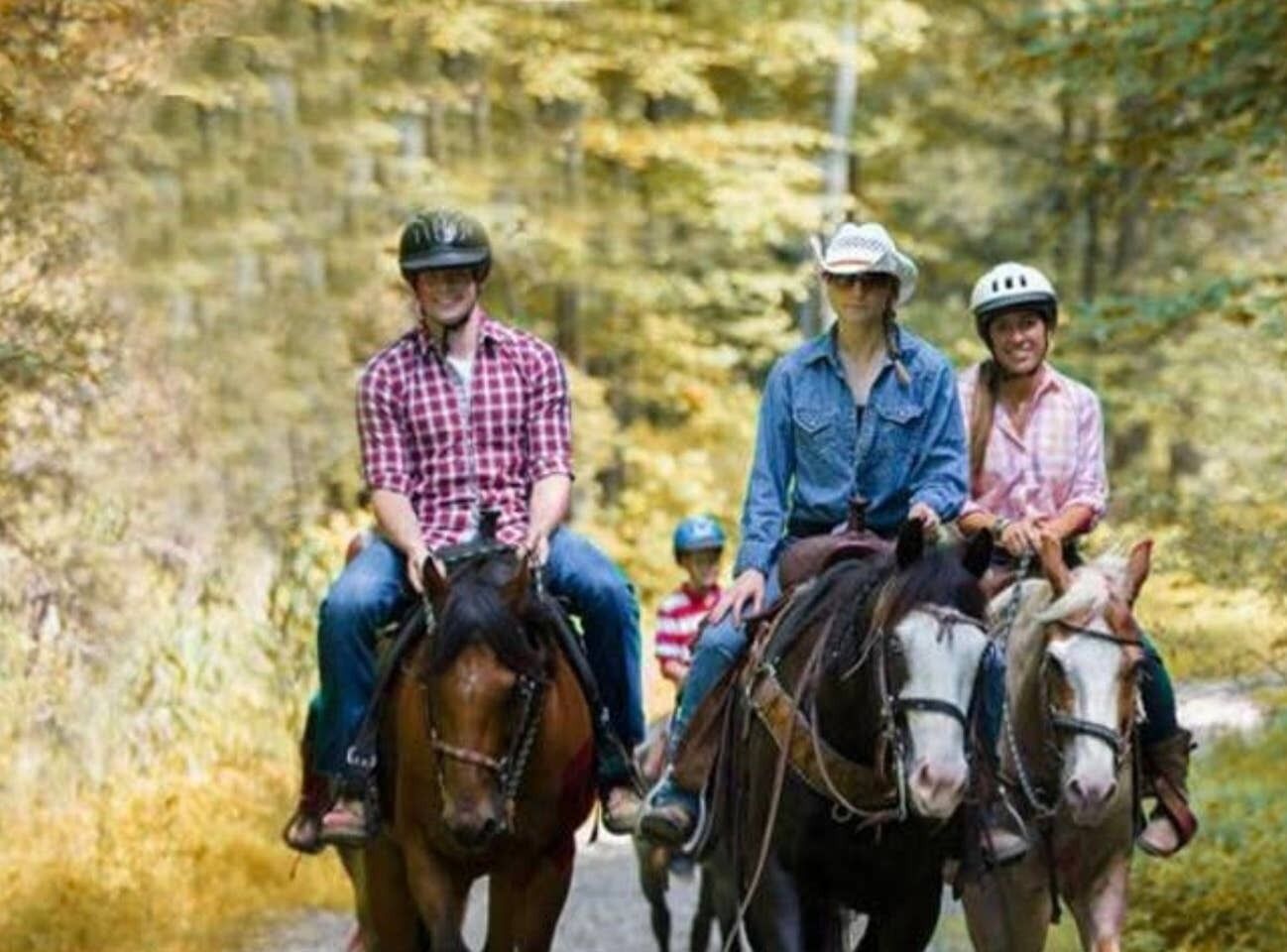Tre persone a cavallo su una strada costeggiata da alberi.