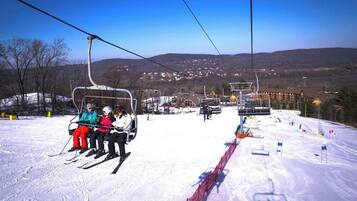 Sne- og skisport