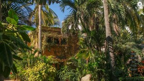 Um jardim exuberante com palmeiras, um caminho e uma placa para um bar de praia e restaurante à beira da piscina.