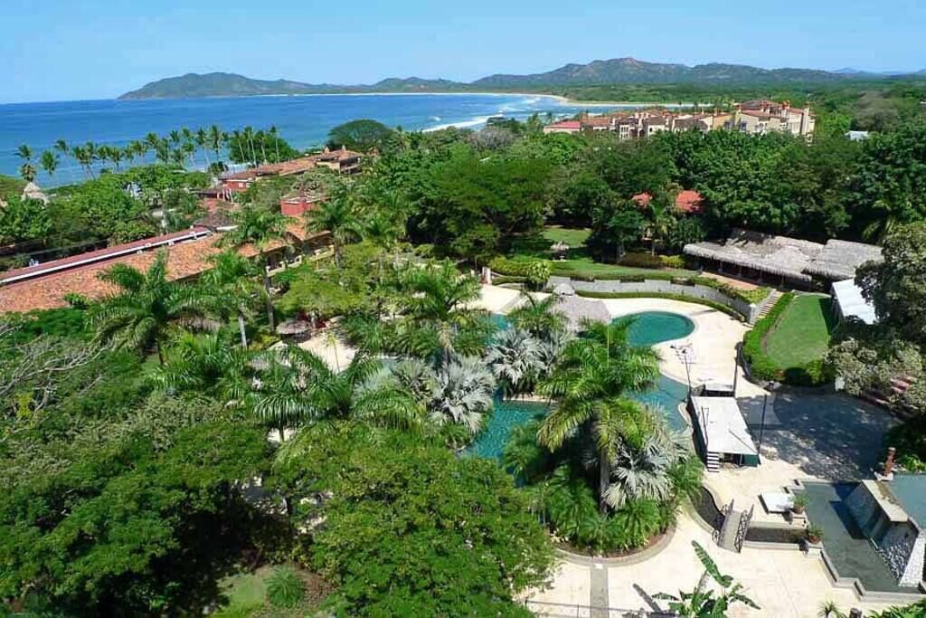 Un complex turístic amb una gran piscina, vegetació exuberant i vistes a l'oceà.