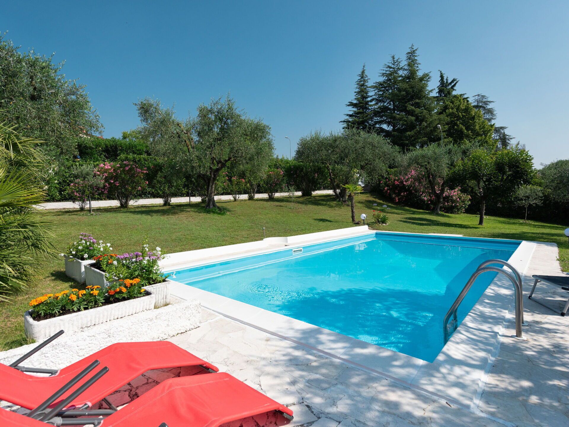 Une piscine rectangulaire avec un escalier en métal, entourée d’une terrasse blanche. On y trouve des chaises longues rouges et un bac à fleurs en béton agrémenté de plantes.