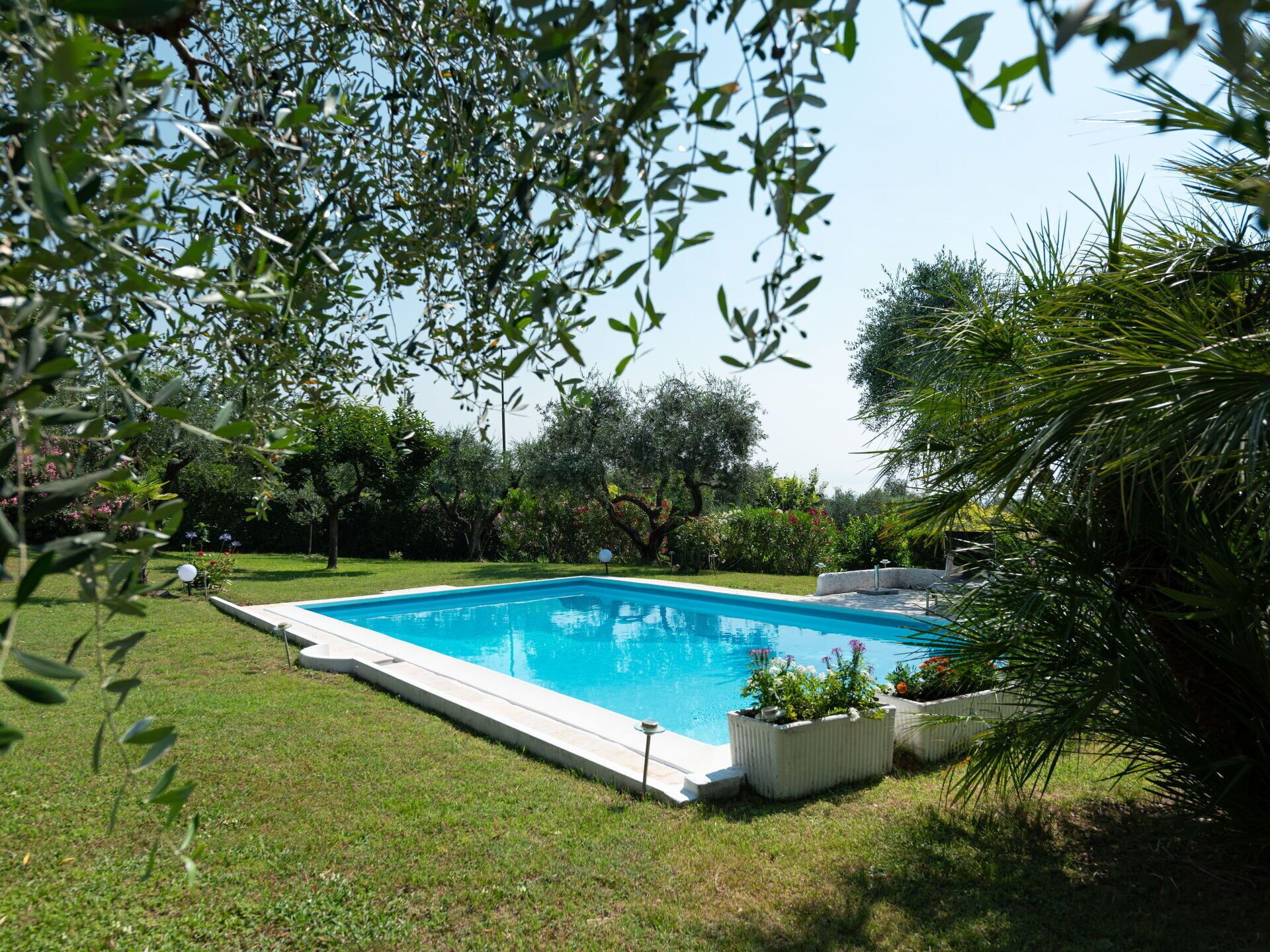 A rectangular swimming pool with a white deck, surrounded by a well-maintained lawn and various trees.