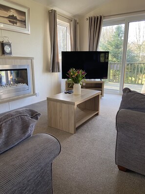 Smart TV, fireplace, DVD player