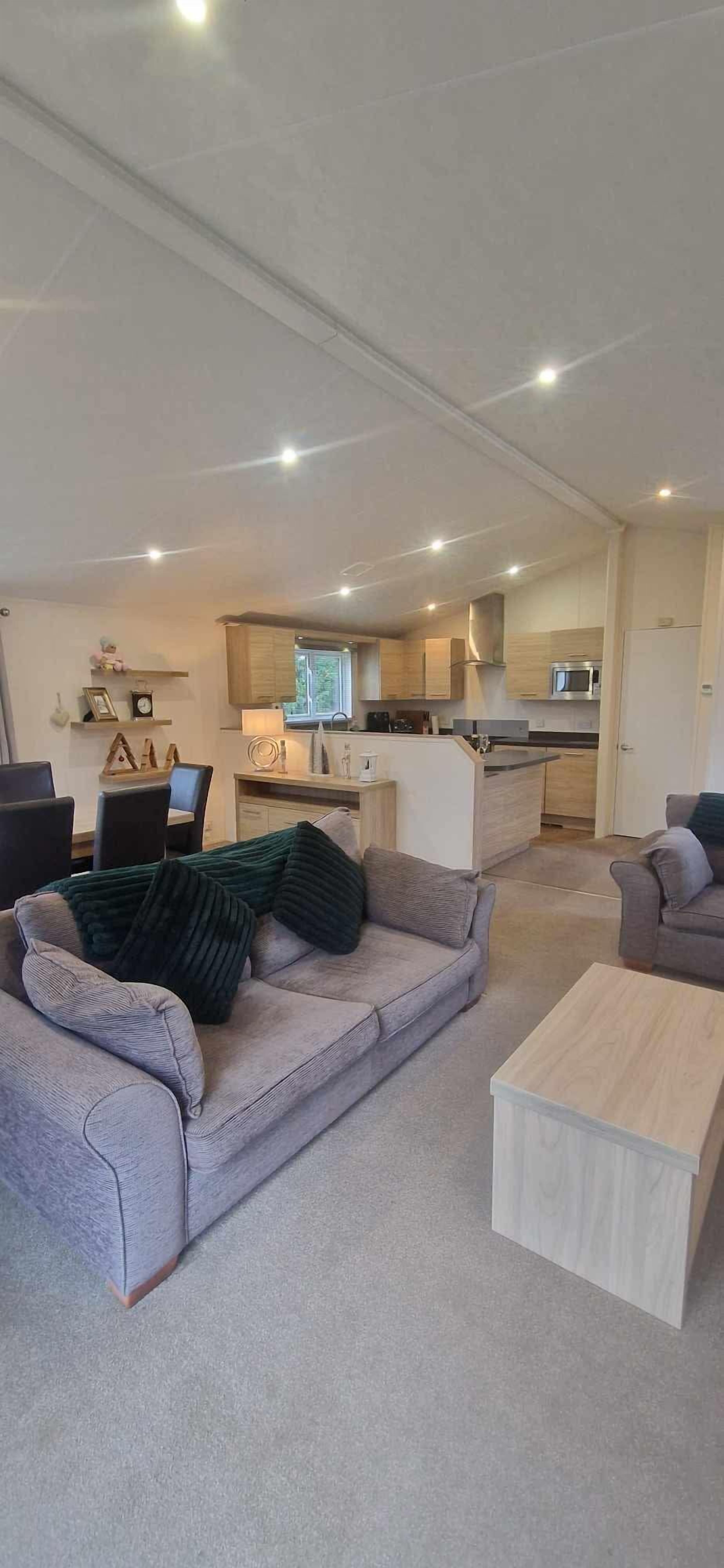 Smart TV, chimenea, reproductor de DVD